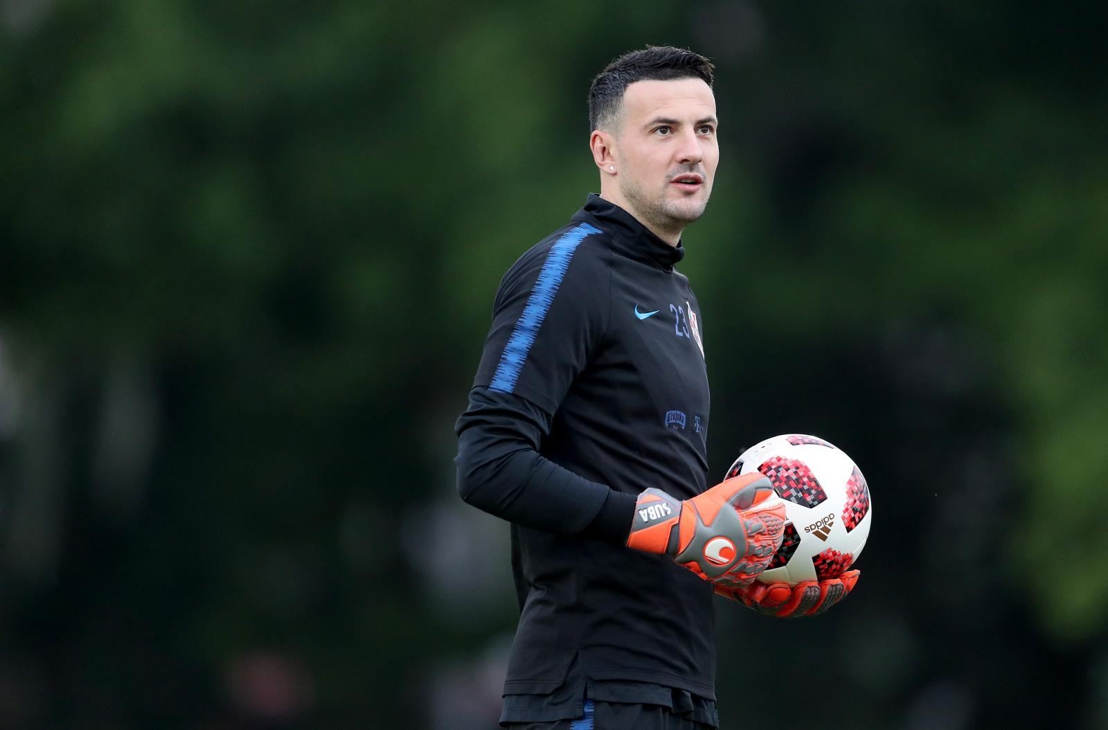 Danijel Subasic, Subašić