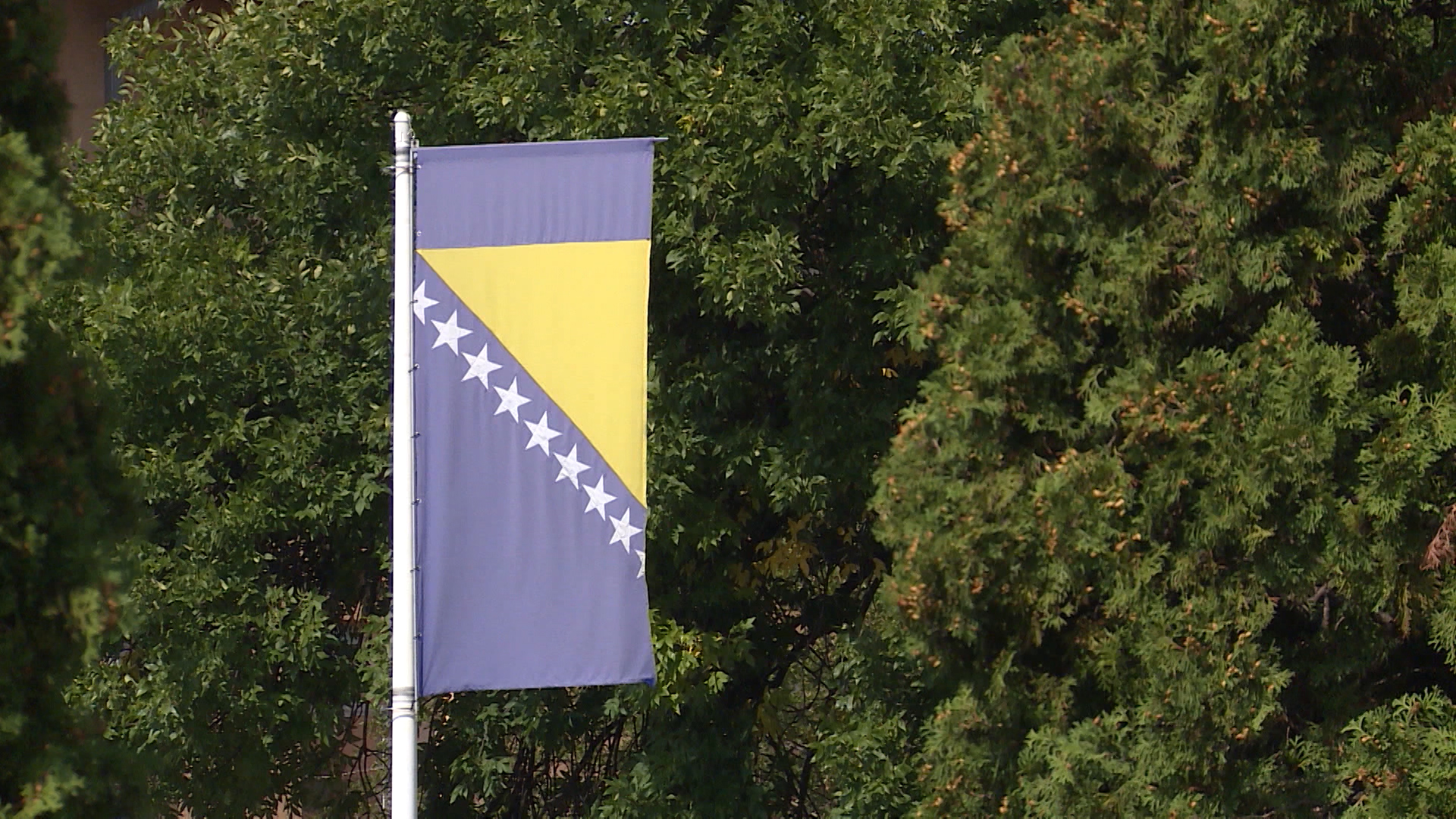 BIH, bosna i hercegovina, zastava bih