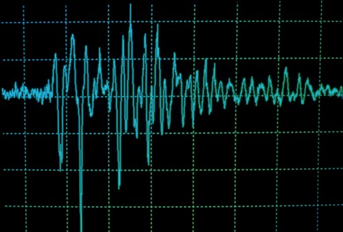 Seismograph of the Kobe earthquake