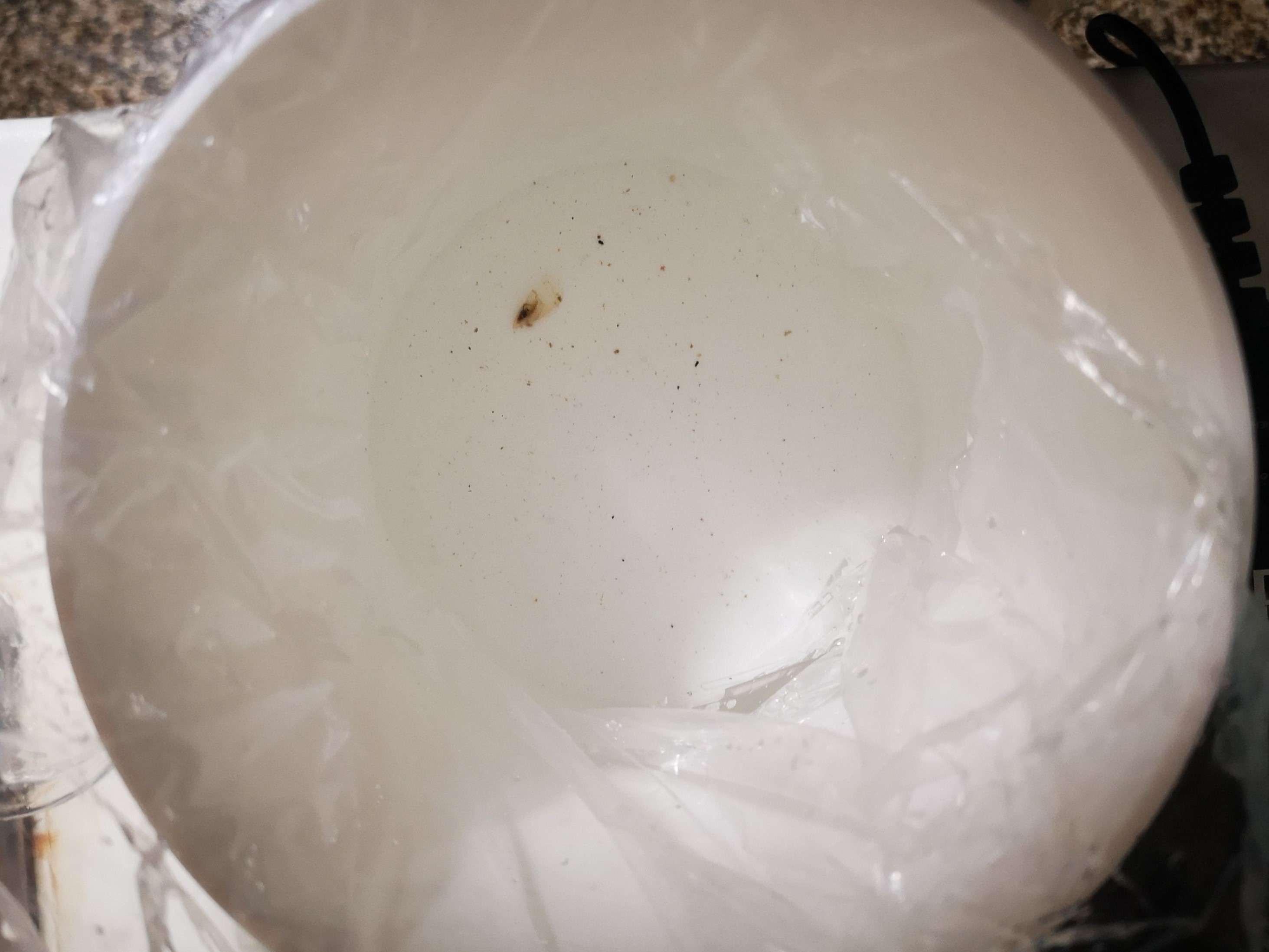 Luce 2 (foto Aquarium Pula)