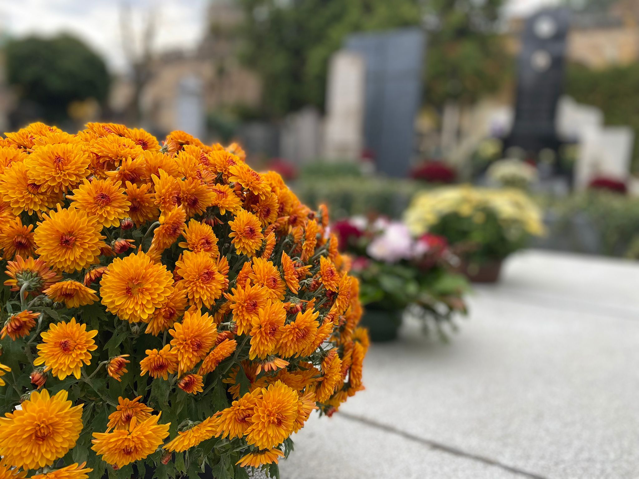 mirogoj, groblje, svi sveti, lampaši, svijeće