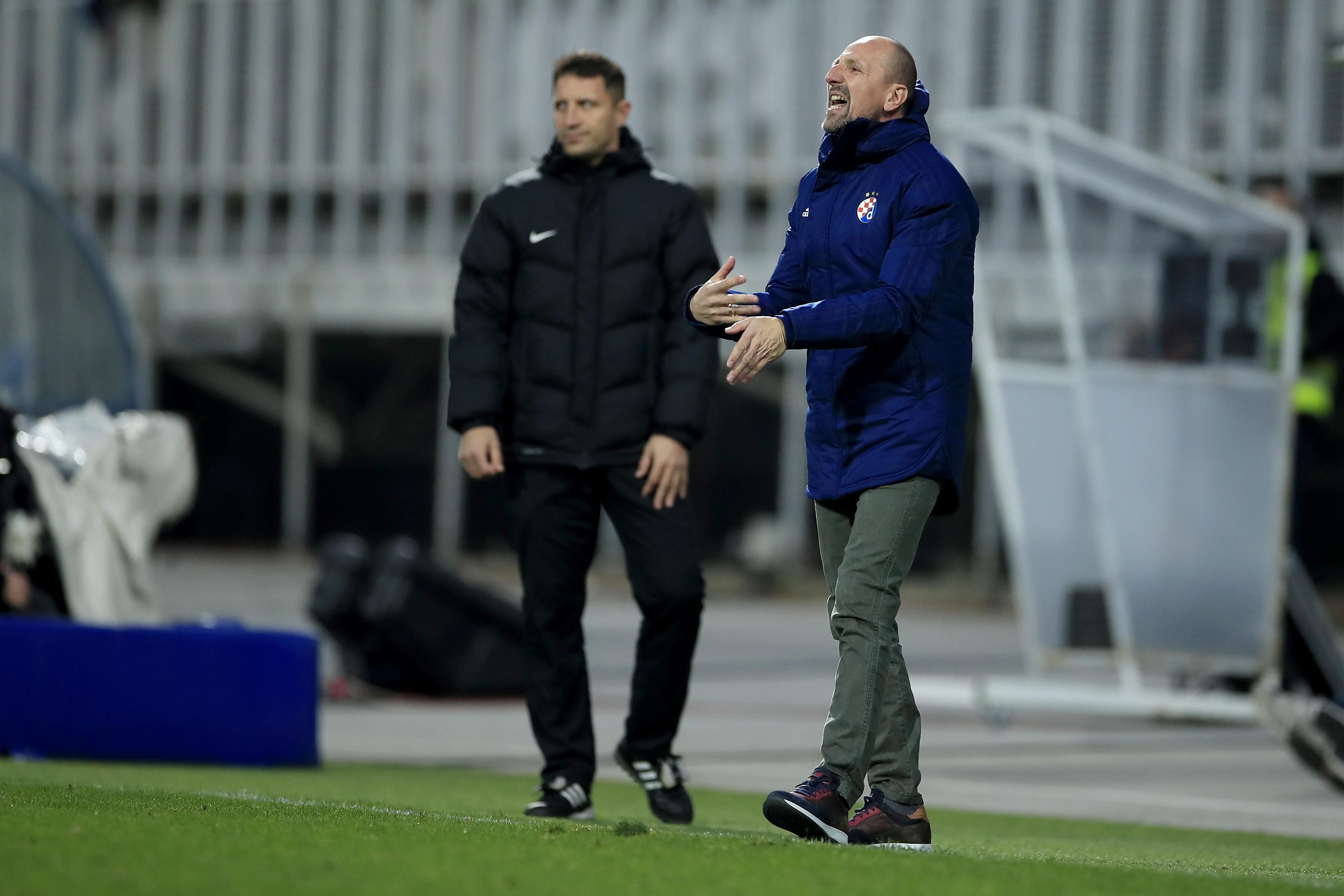 Dinamo, Damir Krznar