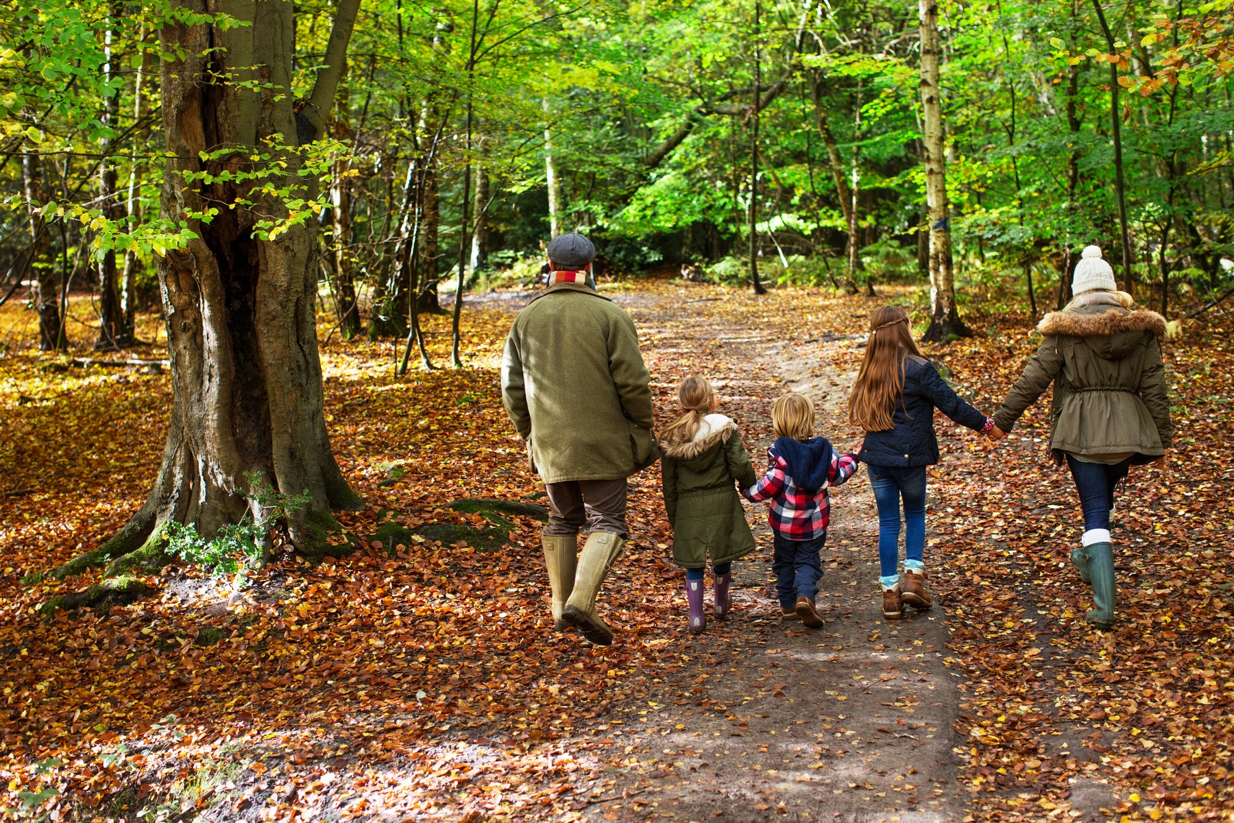 Family walking in woods in Autumn