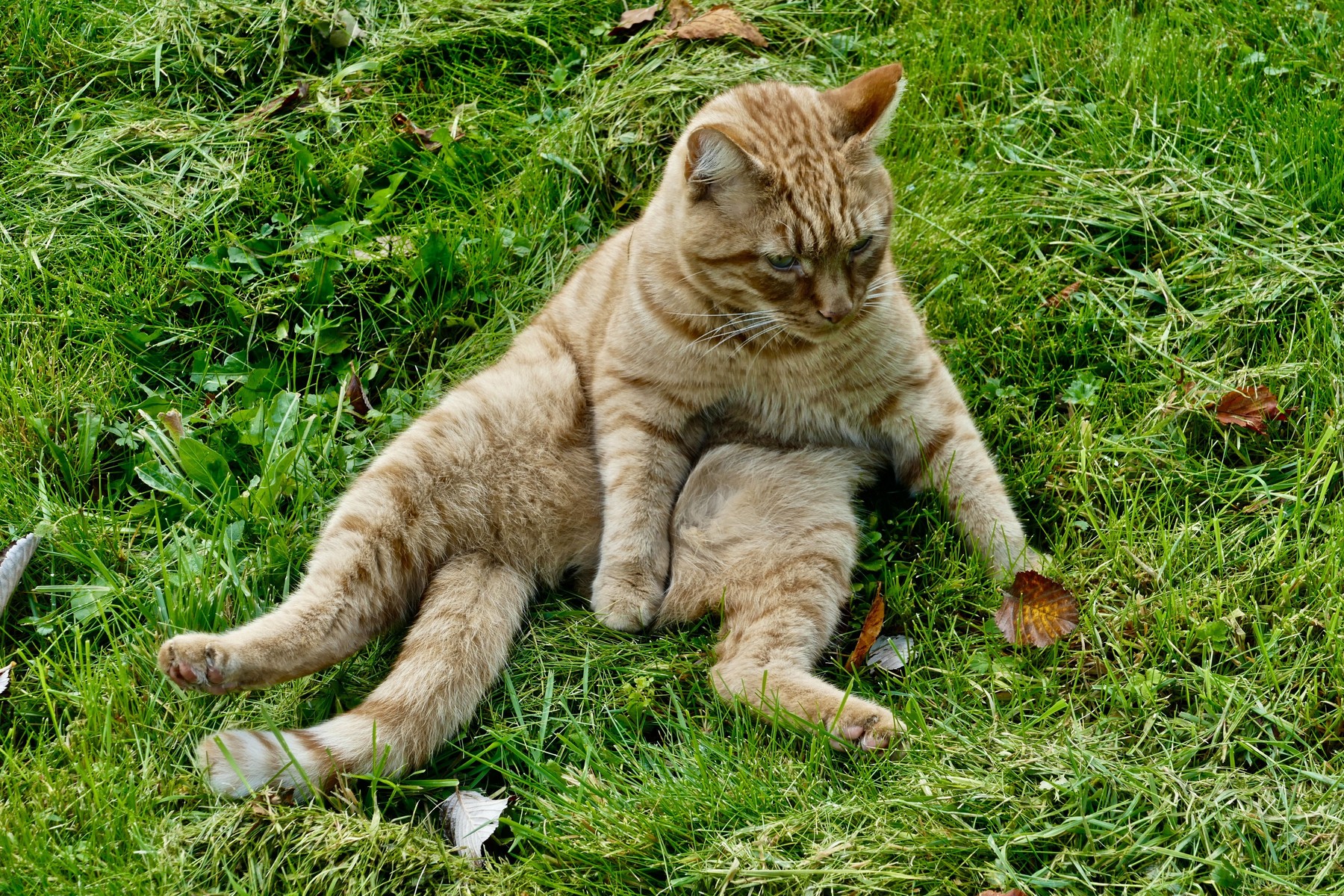 Seasonal weather, Turville, Buckinghamshire, UK - 05 Oct 2020