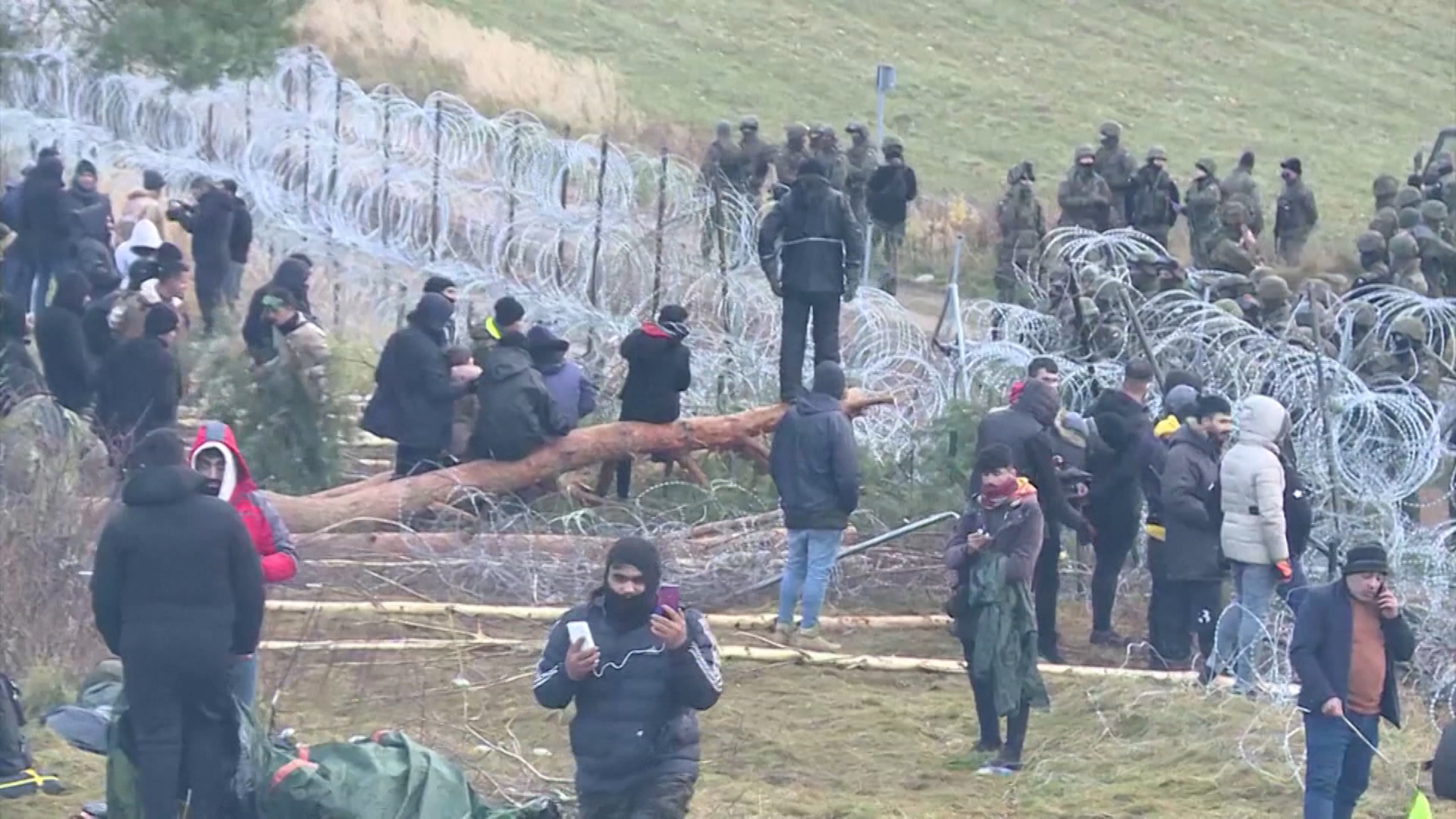 migranti, poljska, bjelorusija, granica