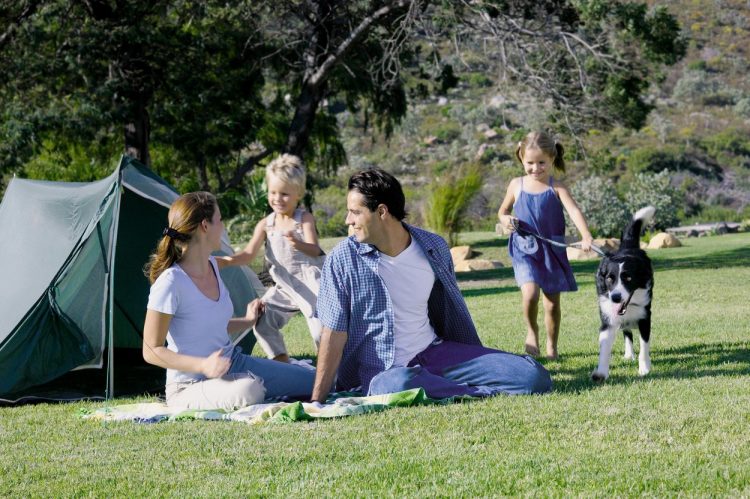 1637229607-profimedia-0002851923-750x499