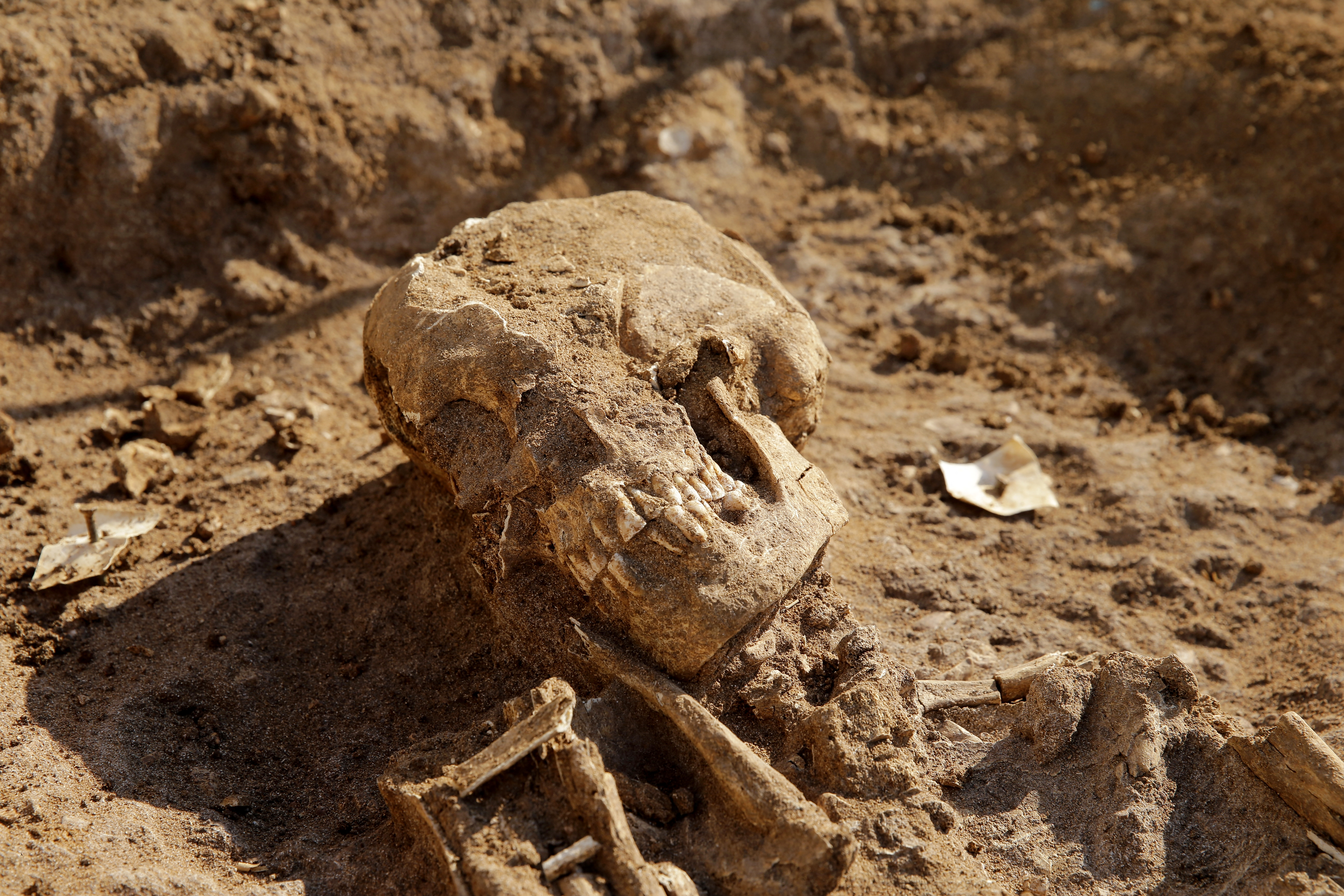 kostur, posmrtni ostaci