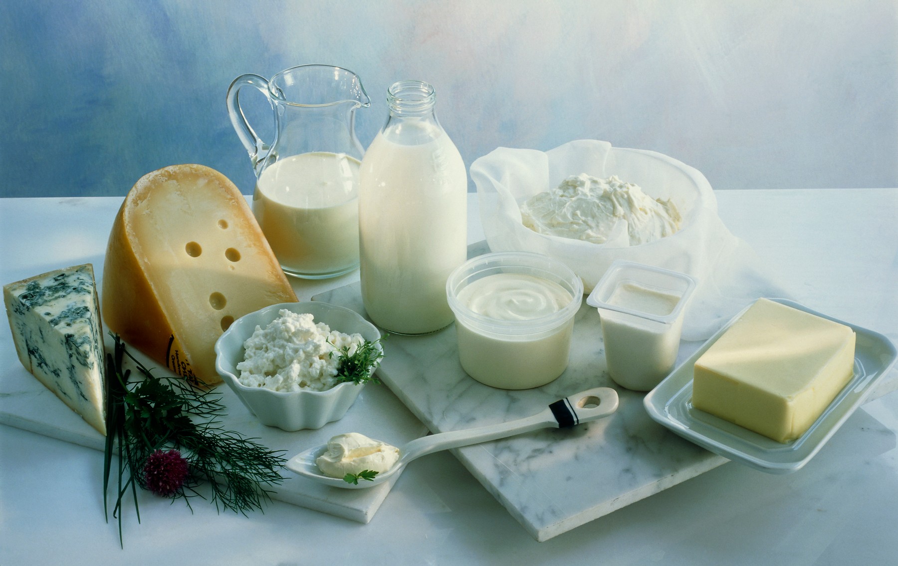 Assortment of dairy products