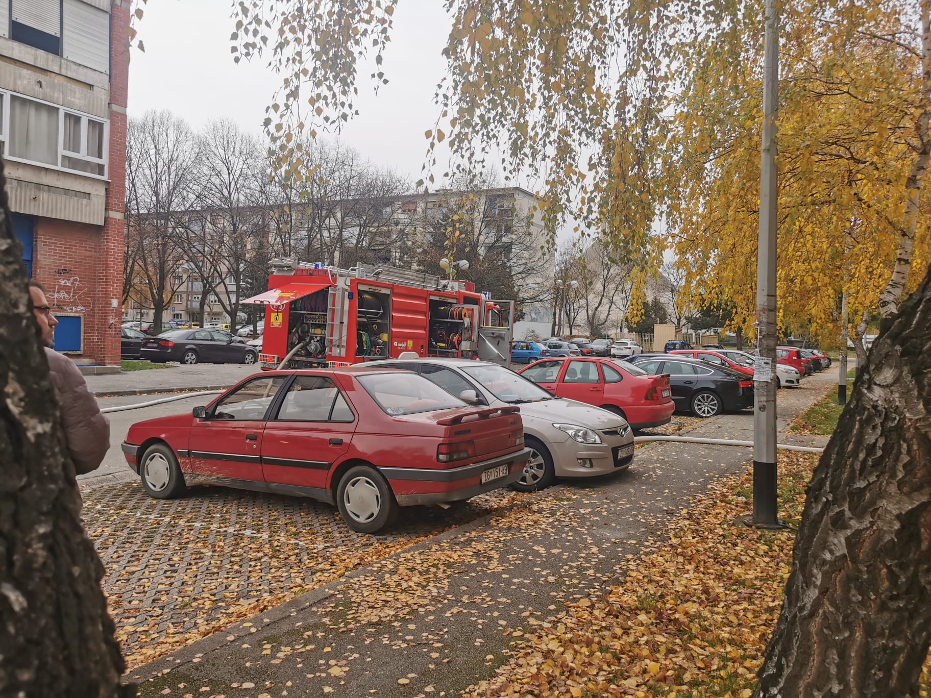 požar ferenščica, pešćenica