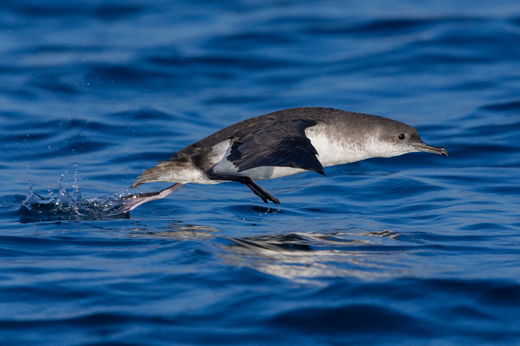 profimedia-0442502828