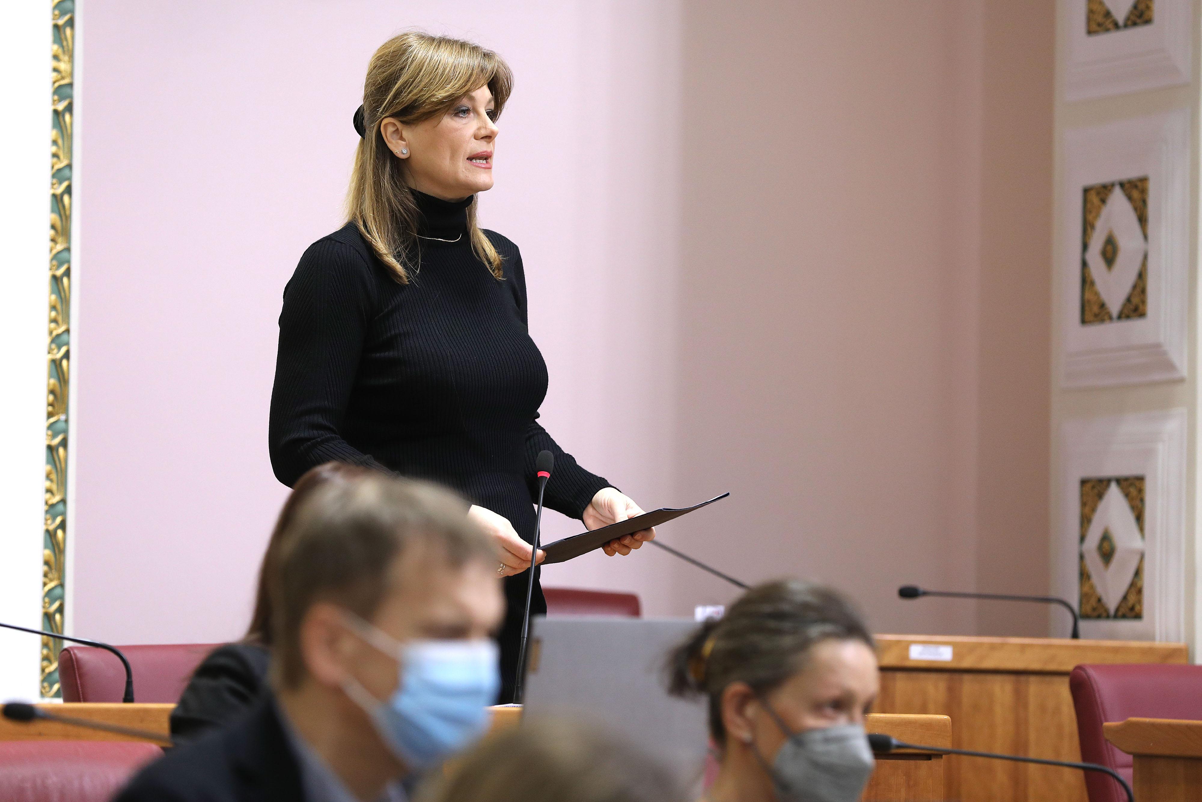 Sabor, katarina vidović krišto