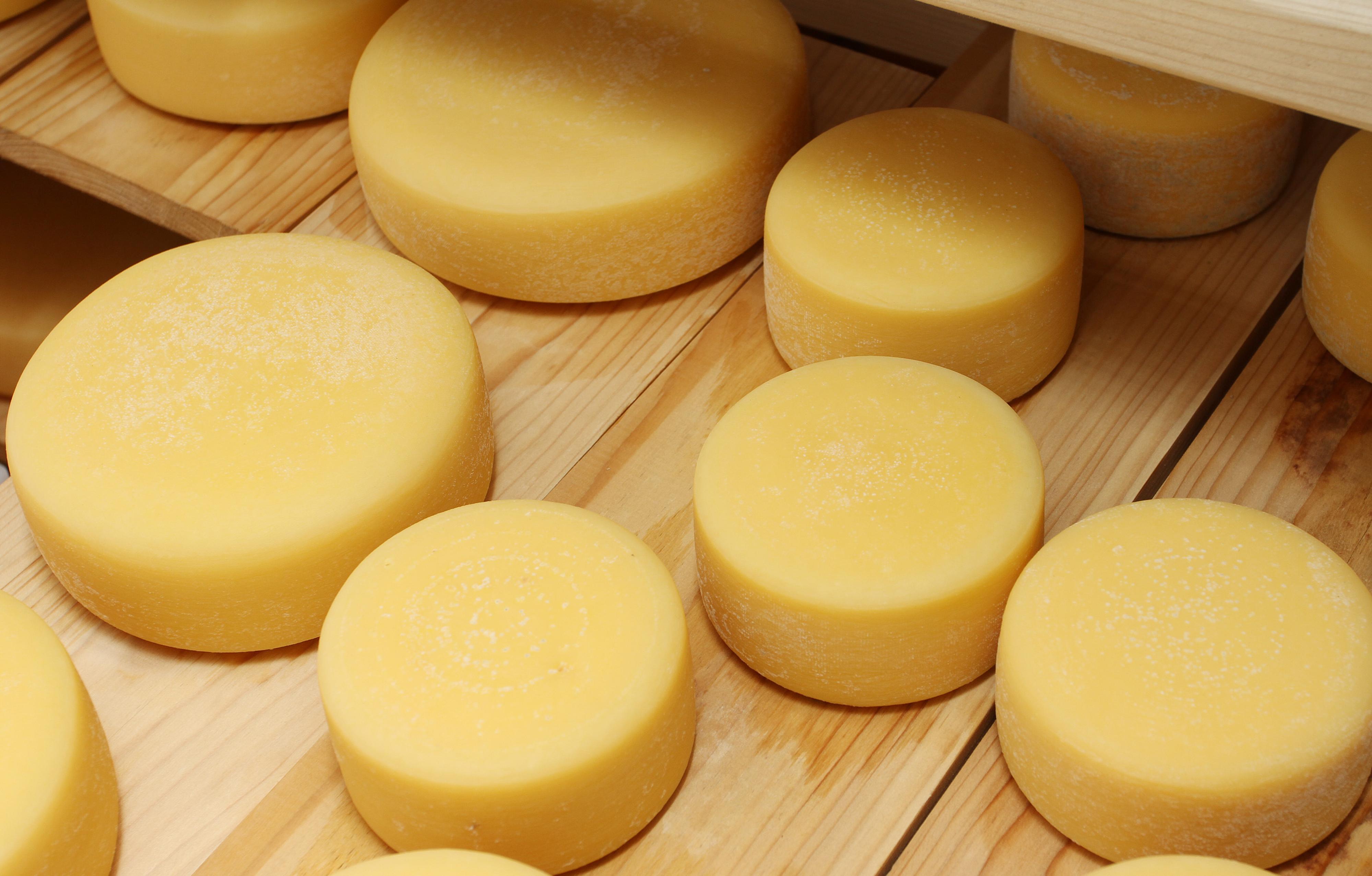 Rakovica: OPG Mihovil Turkalj proizvodi kravlji sir kripavac koriste?i tradicionalnu recepturu