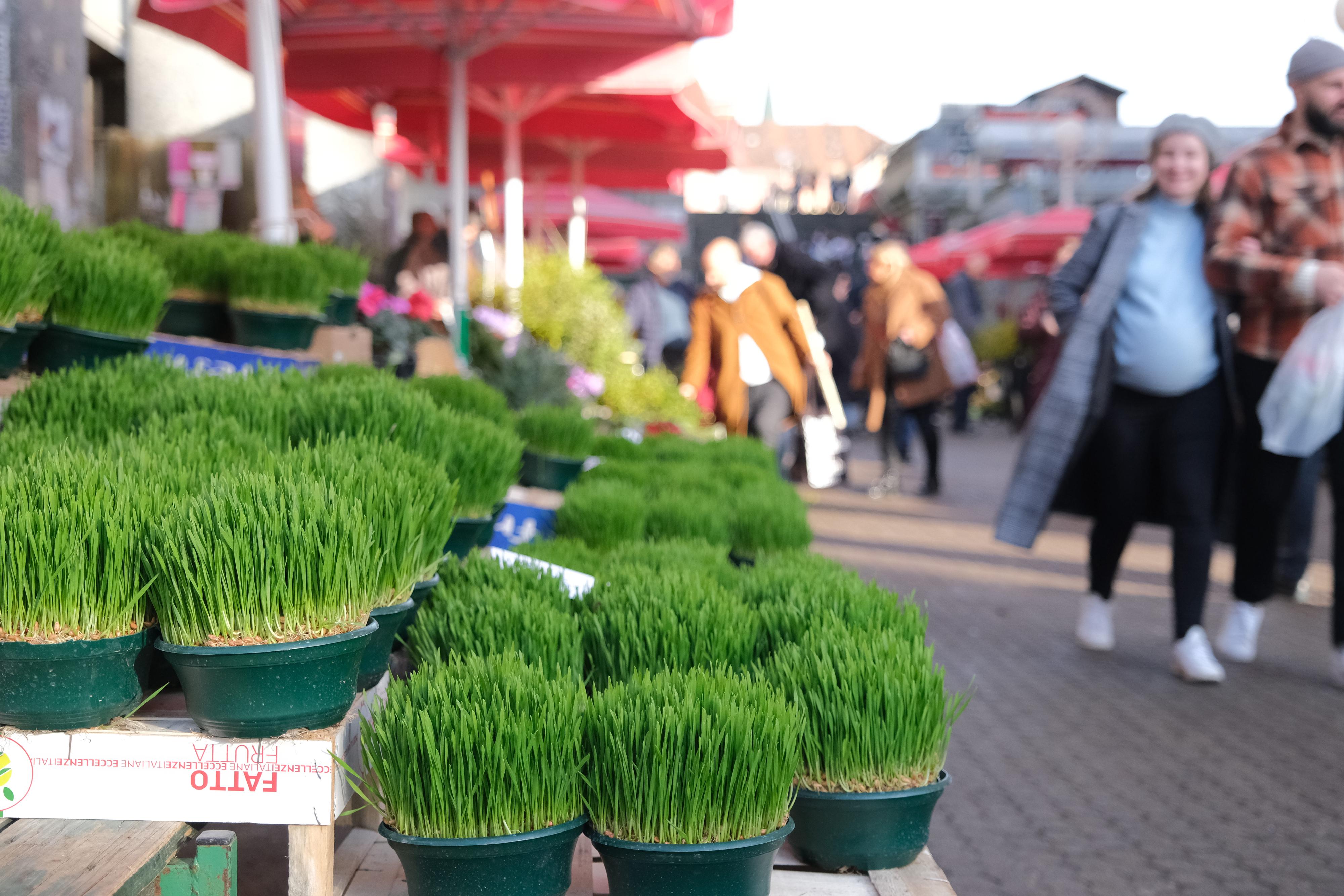 Slaven Branislav Babic/PIXSELL