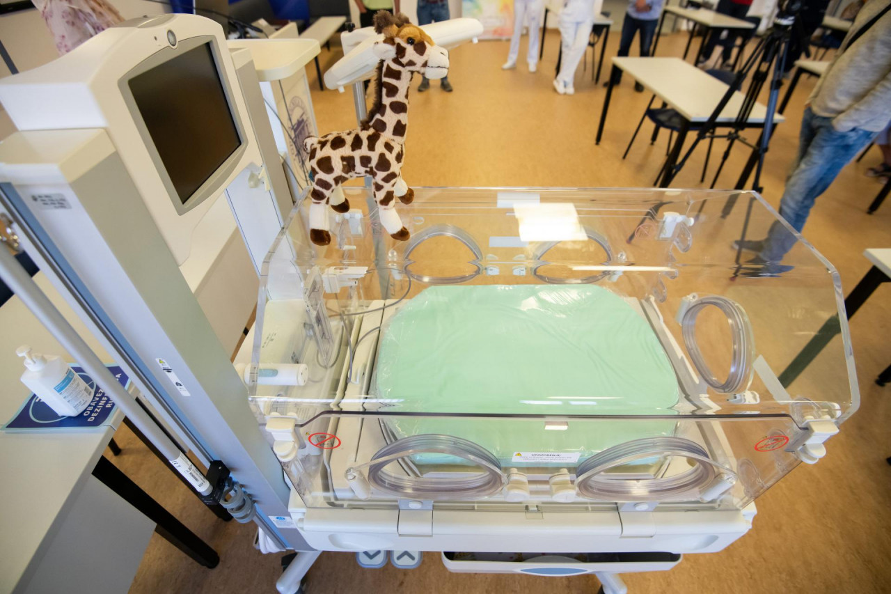 palčići za hrvatsku