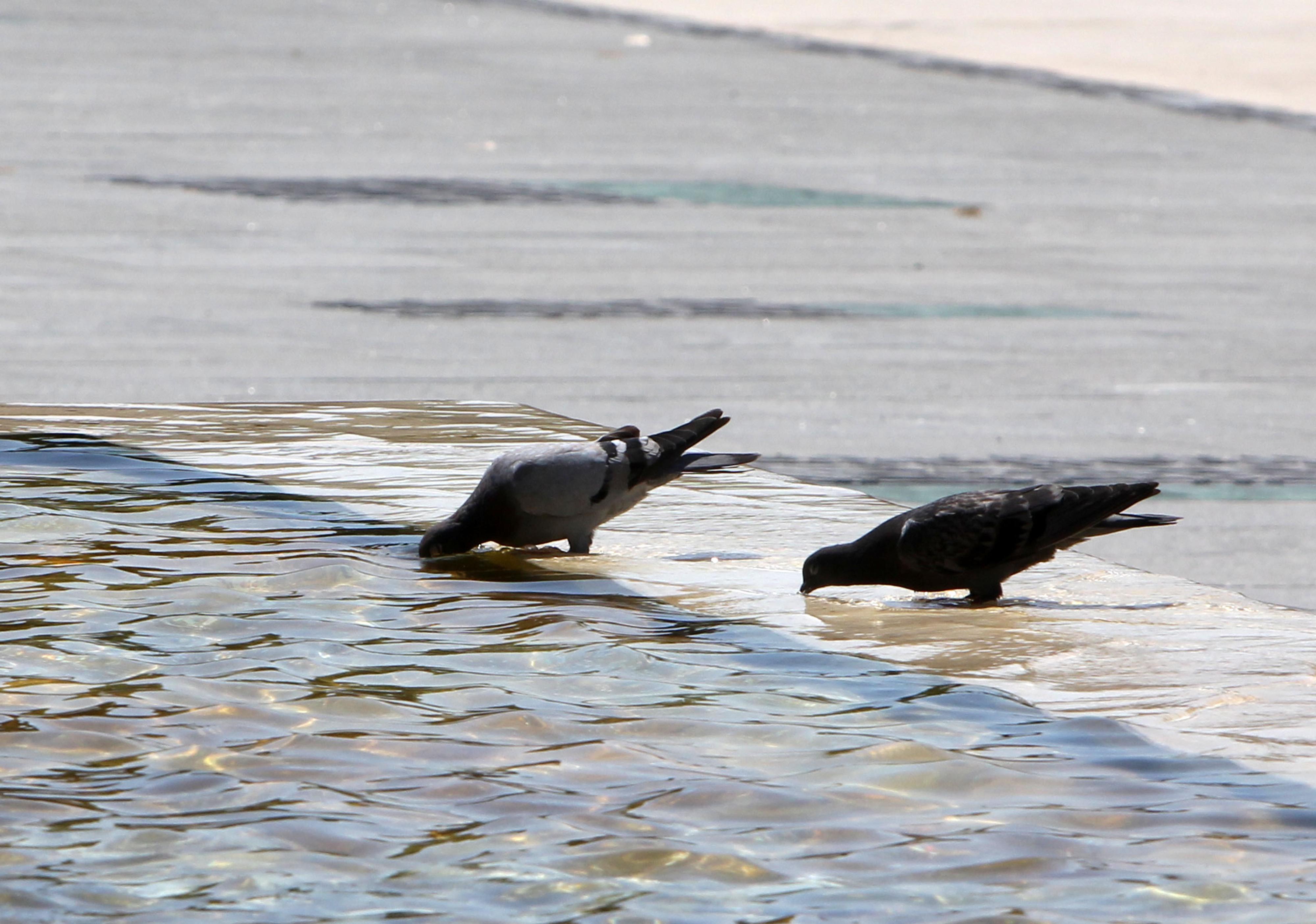 Knin, ljeto, vrućina