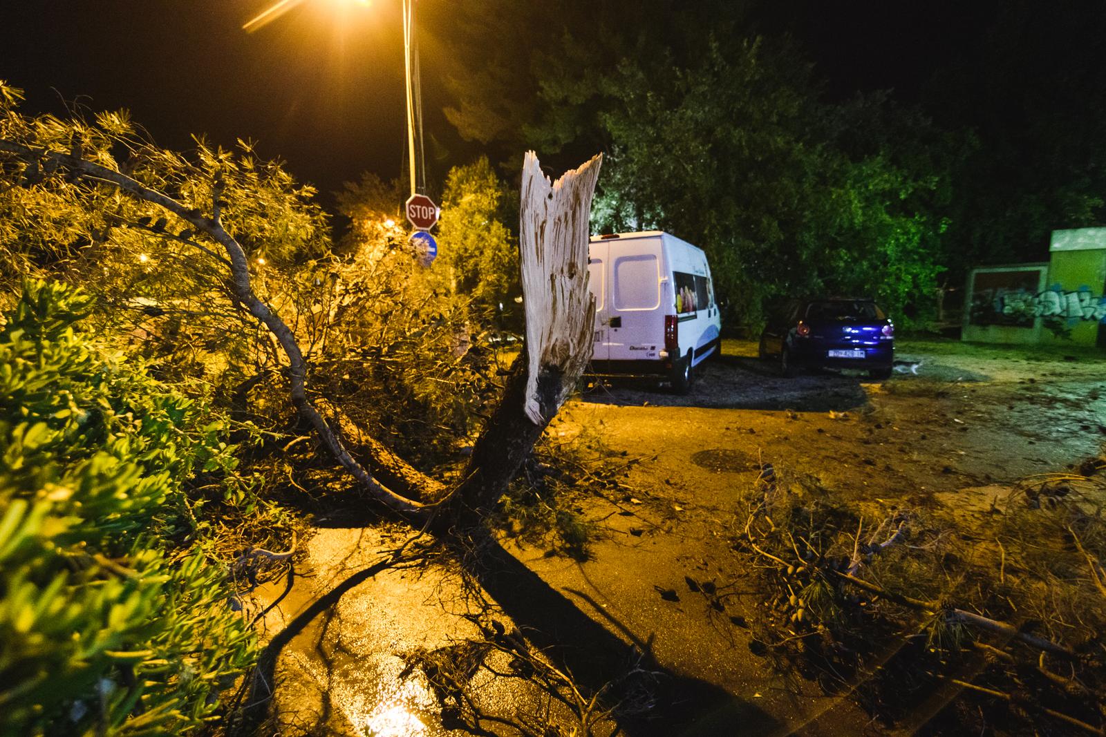 Olujni vjetar čupao stabla u Zadru, nastala velika materijalna šteta