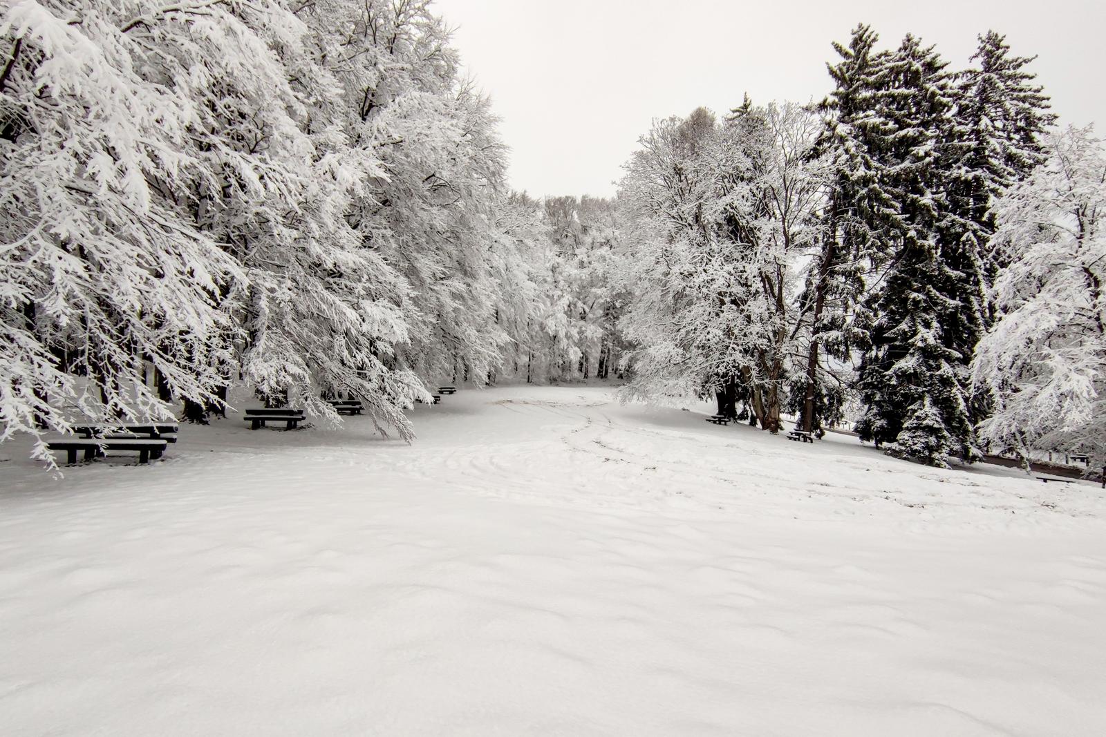 Zagreb: Prvi ovogodišnji snijeg zabijelio Medvednicu