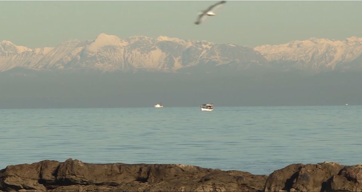 piran, piranski zaljev, Savudrija