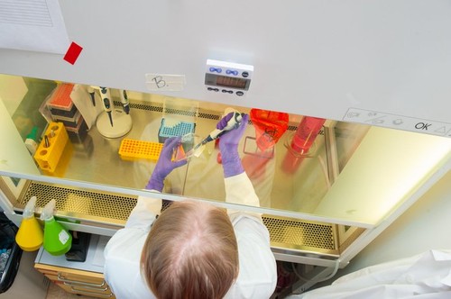 biological, biology, biotechnology, chemical, chemist , cure , discover, discovery , doctor , experiment , experimental, experti