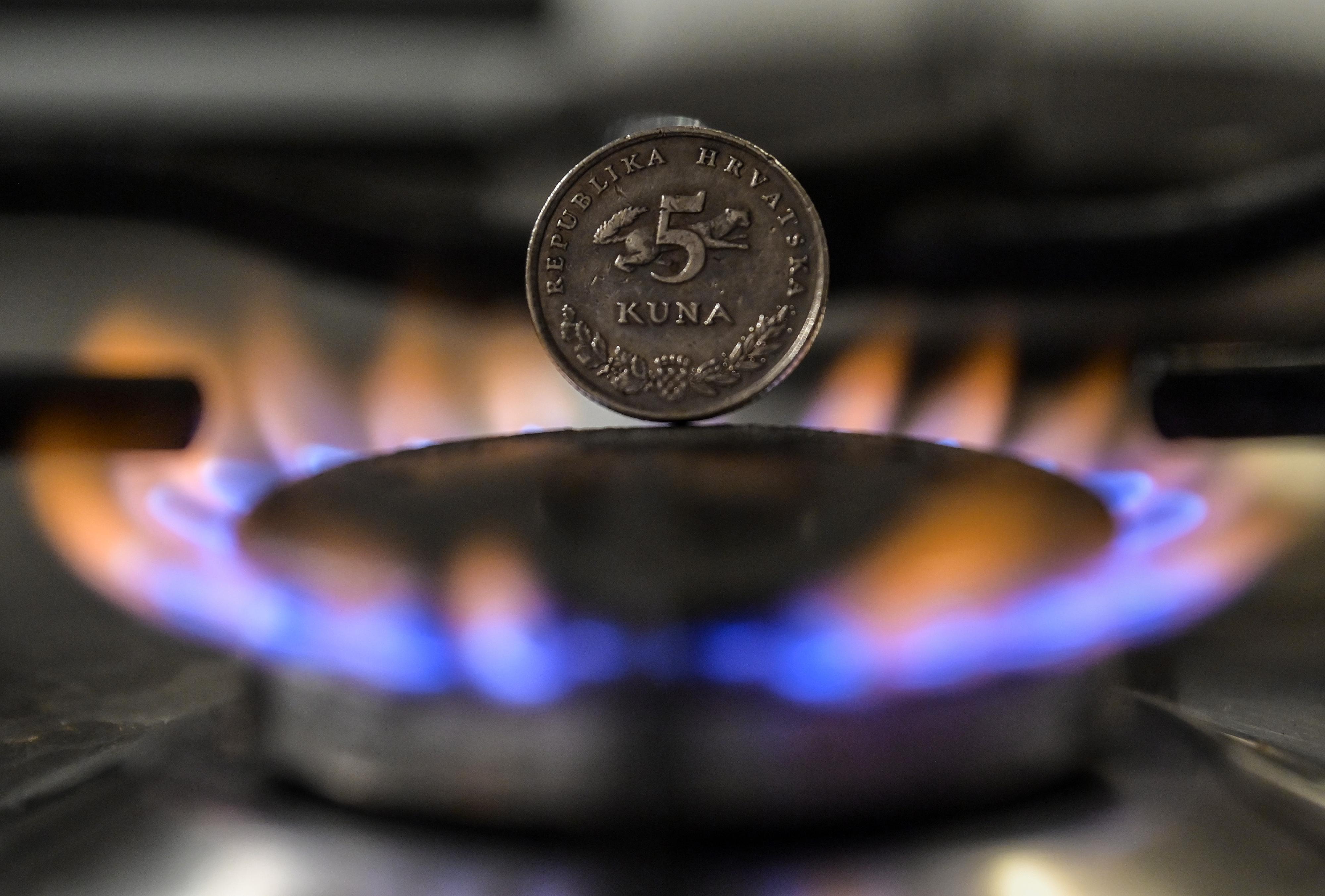 plin, poskupljenje plina,