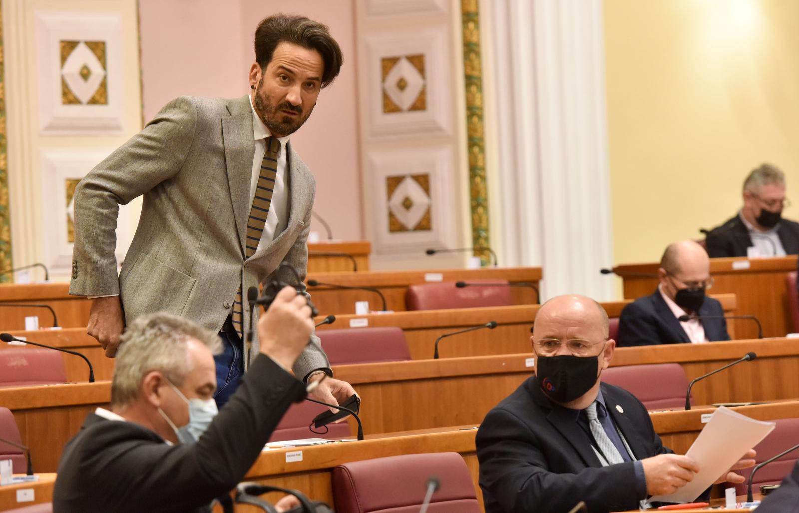 Marin Miletić, Hrvatski sabor