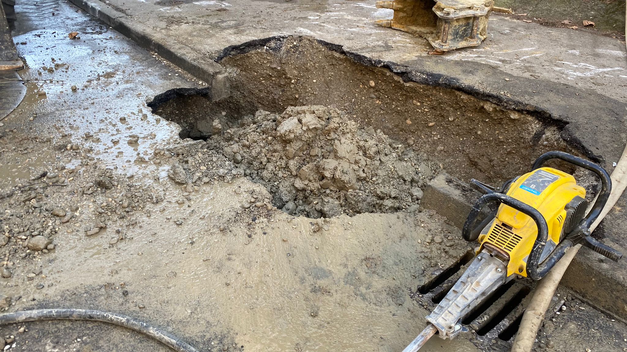 N1/Elvir Mešanović