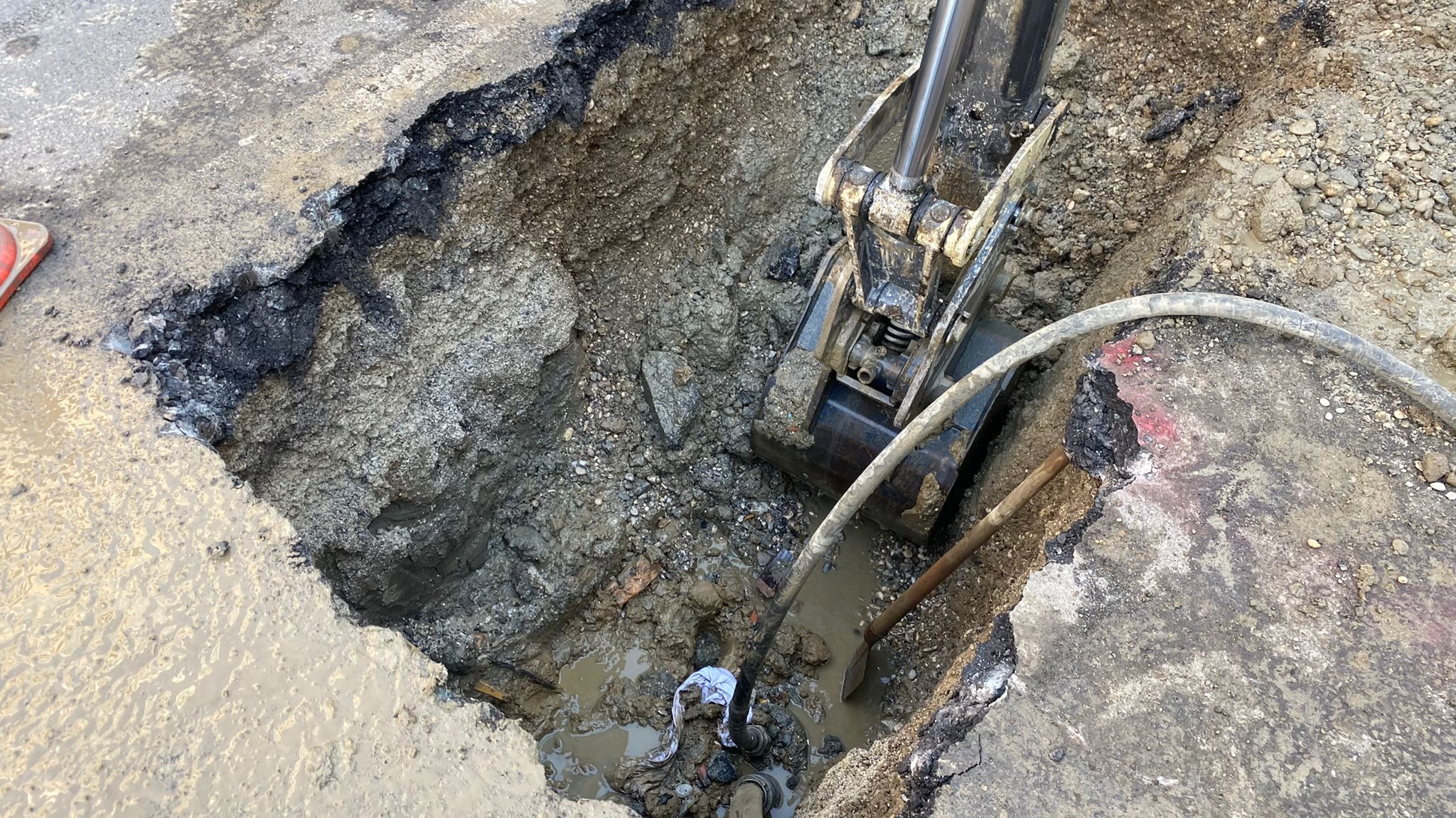 N1/Elvir Mešanović