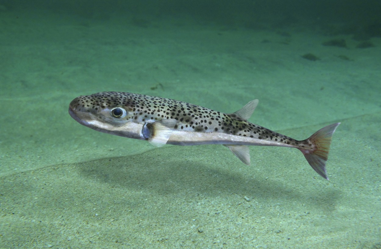 profimedia-0398915217