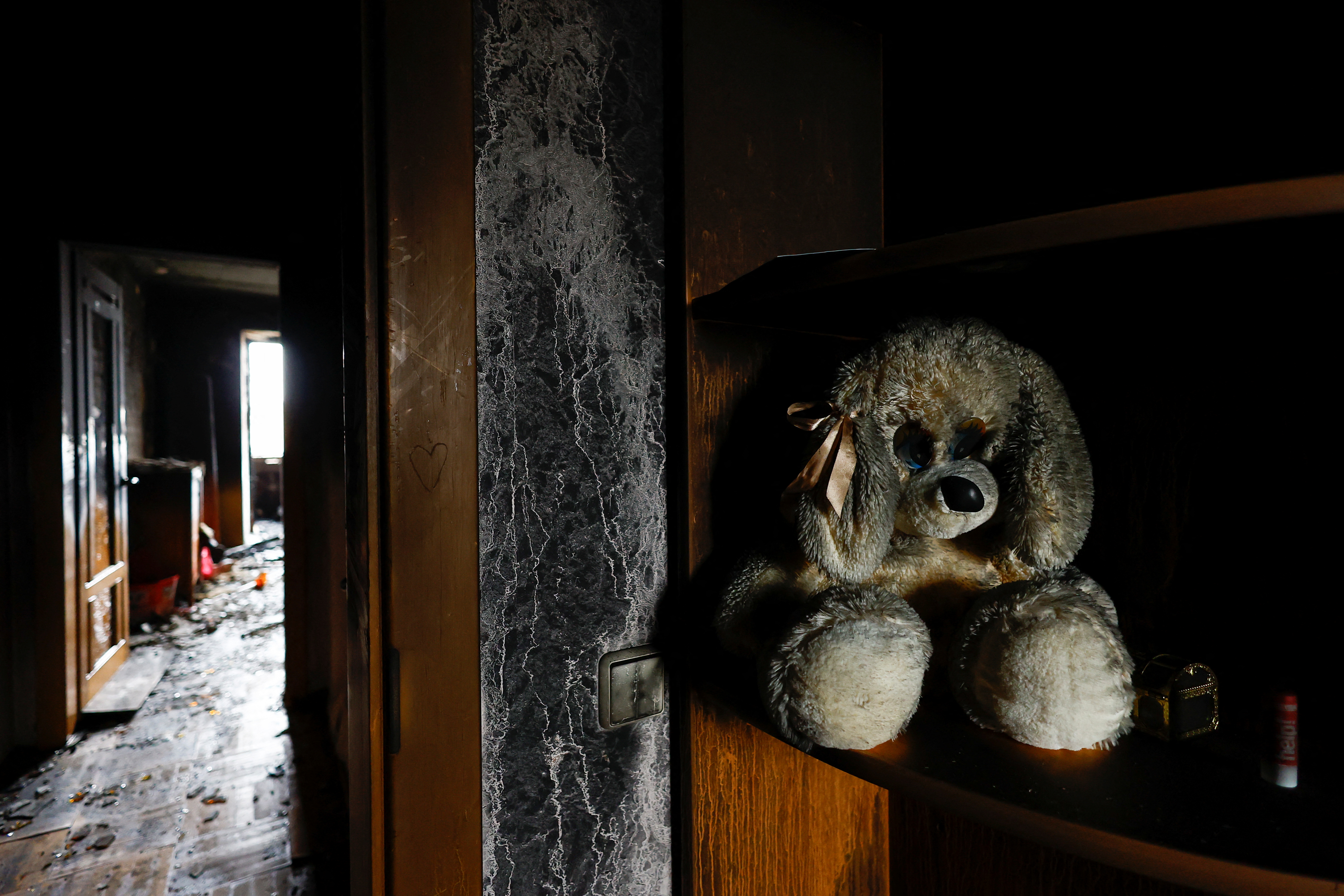 kijev, ukrajina, medo, igračka, plišanac