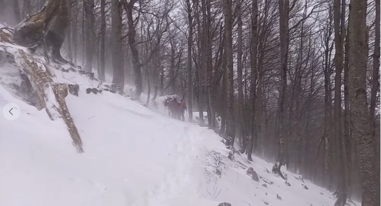 36abdb66-60c7-4ee4-91c1-5ddbd06d0177