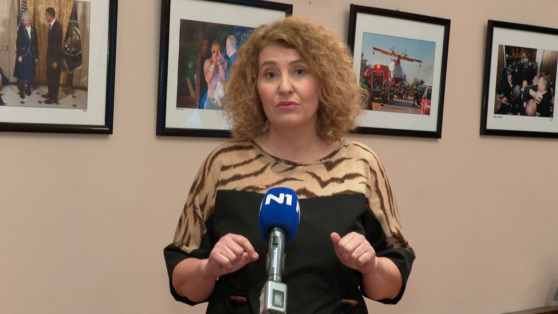 antonija petričušić