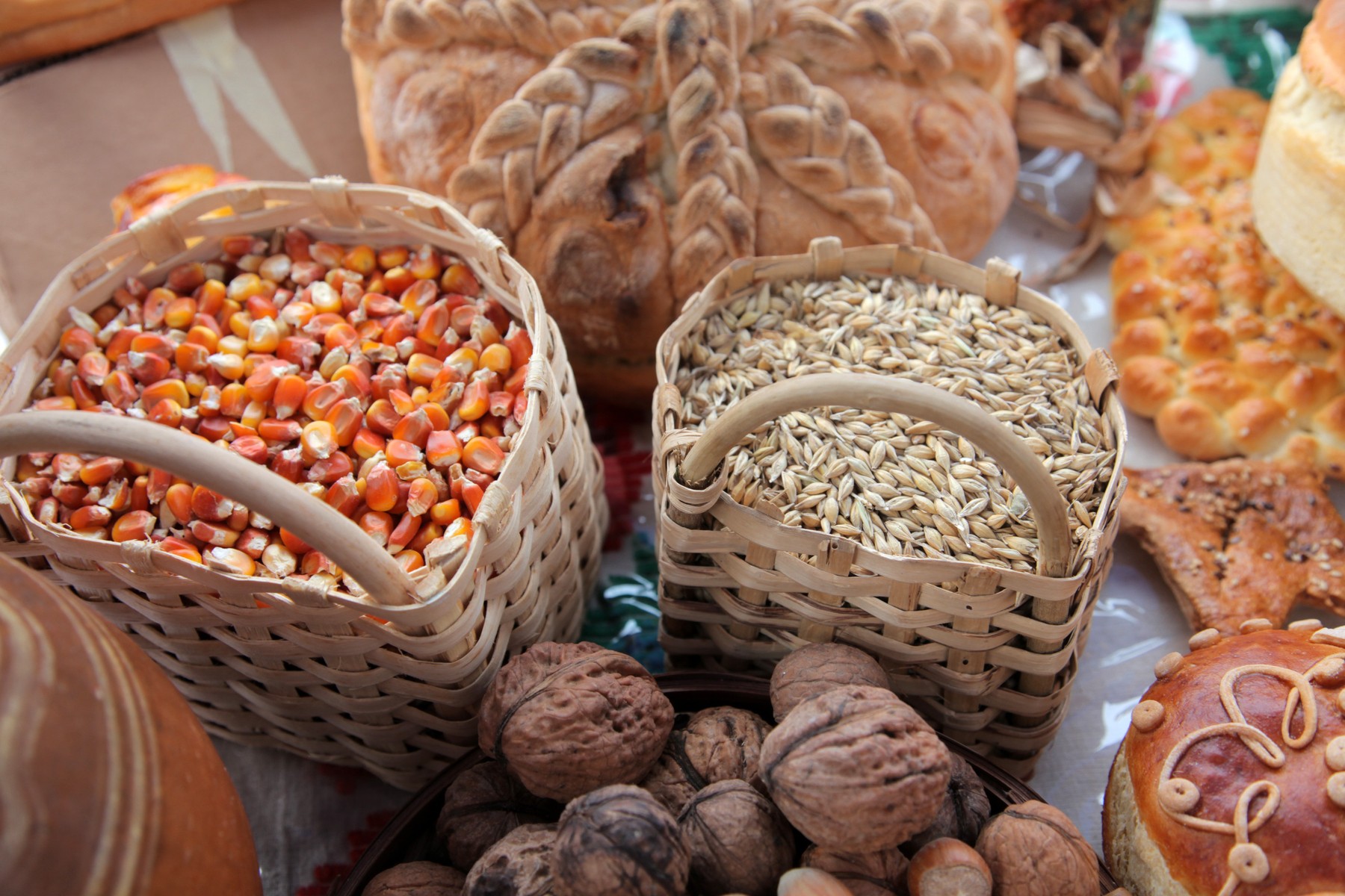Basket with wheat and corn