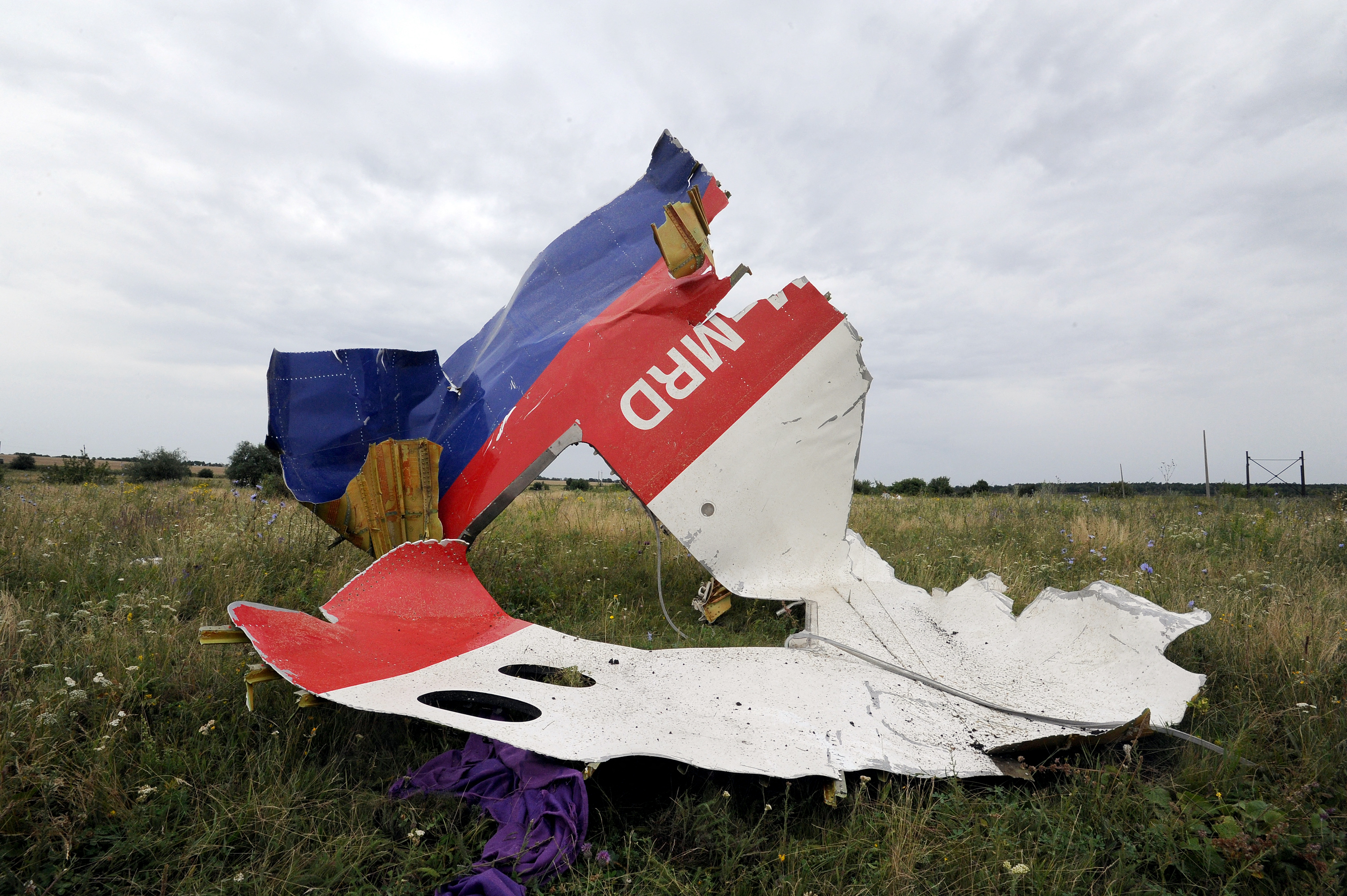 MH17, MH-17,