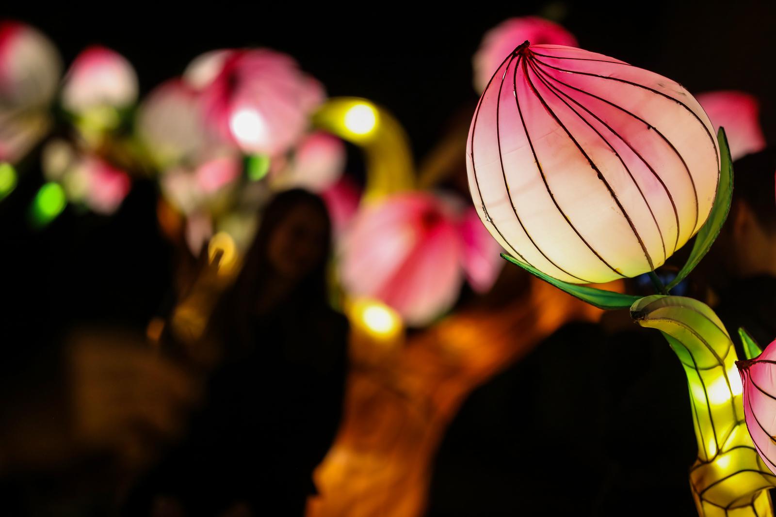 Zagreb: Festival svjetla na Gornjem gradu