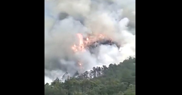 de9e5056-dc7f-4aa2-9b4b-a8be1de2220f