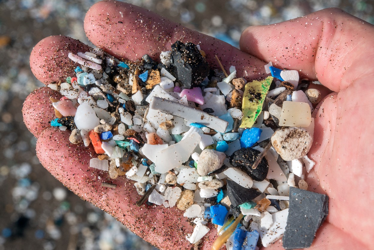 profimedia-0639046276