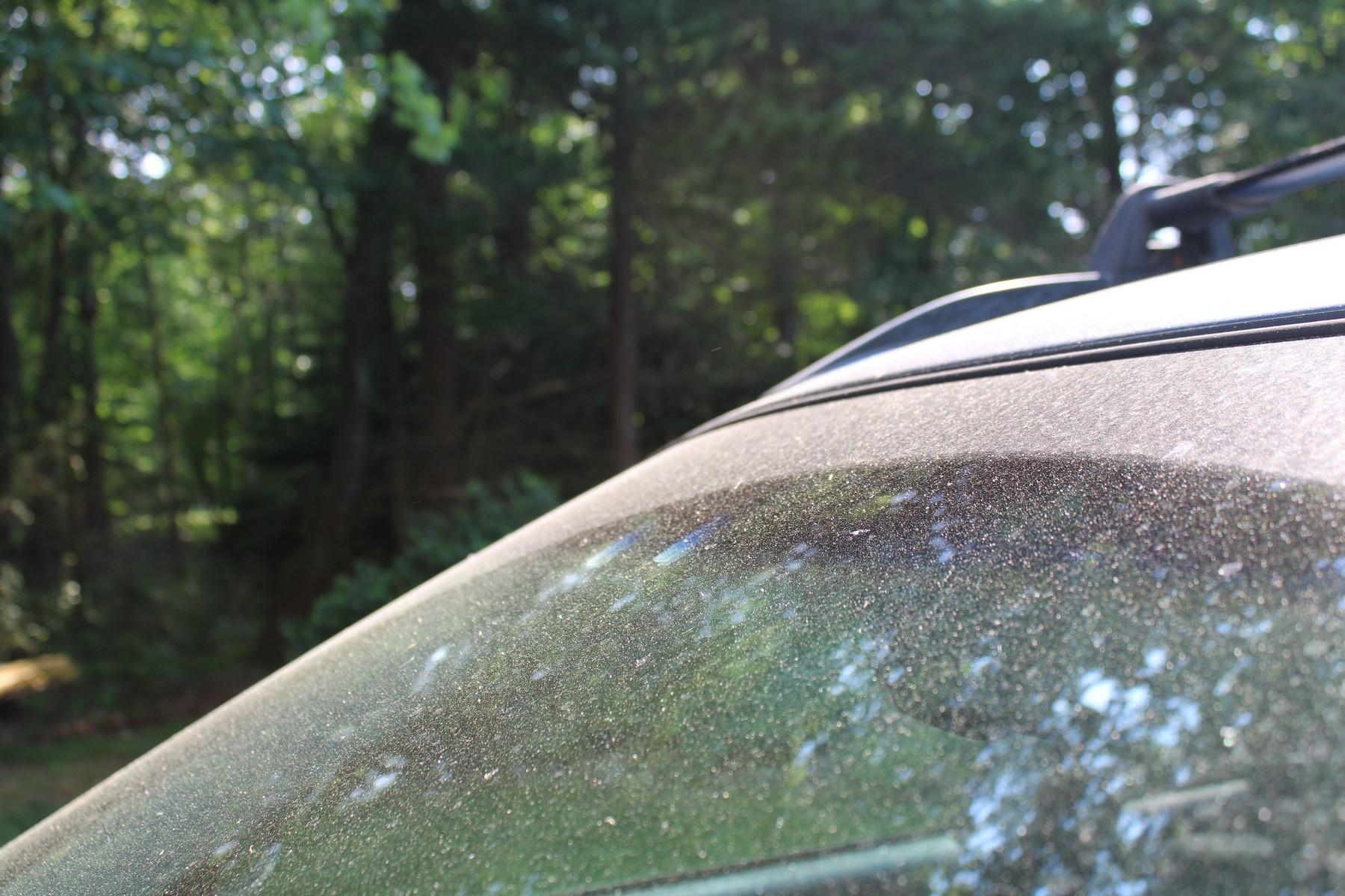 Pollen on a Car Windshield in May