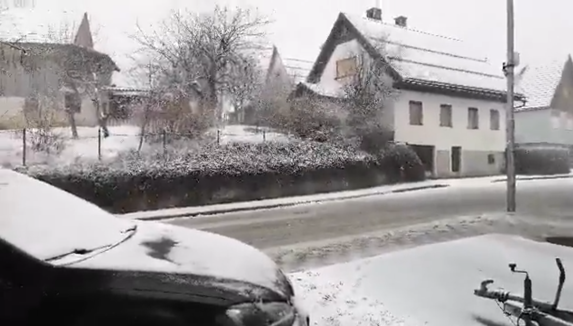 tršće, snijeg, travanj