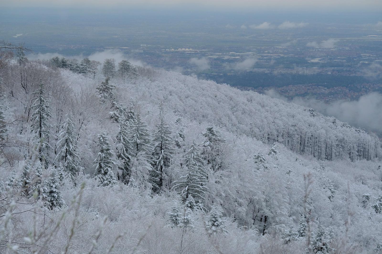 Slaven Branislav Babic/PIXSELL