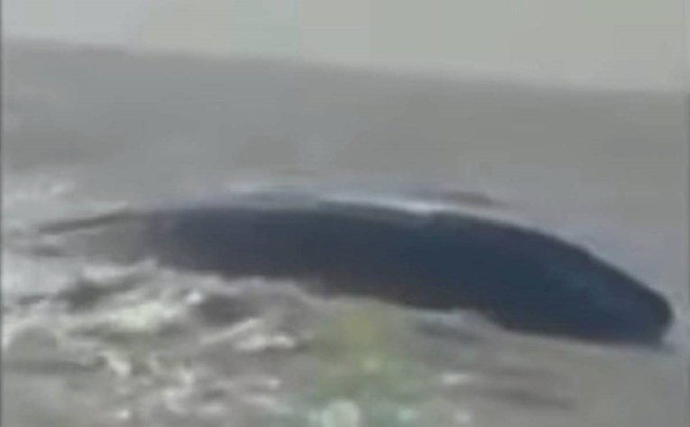 d83de50b-31a4-4669-aa3b-1f3da71153f3