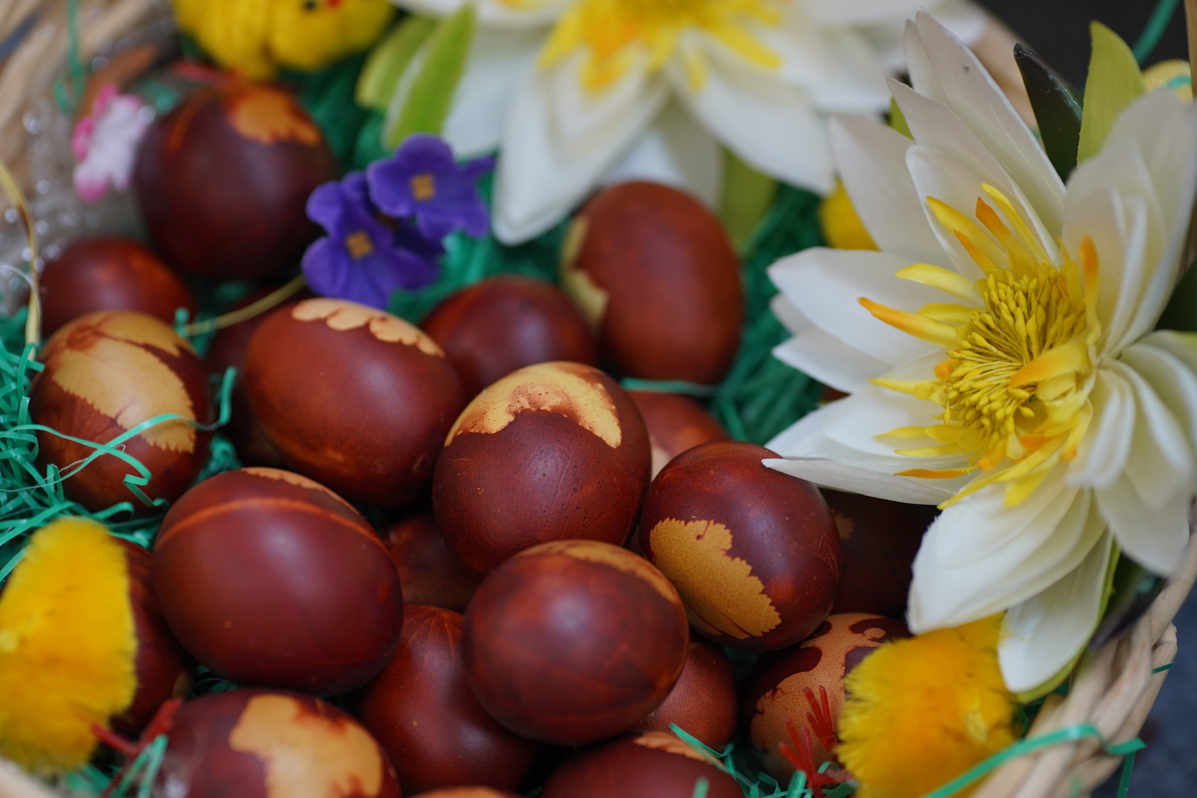 Banjalučki biskup Franjo Komarica uputio vjernicima uskršnju poruku