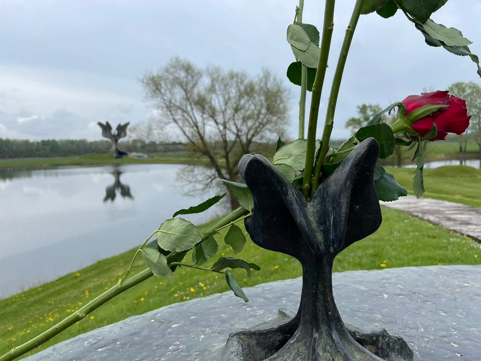 Jasenovac, kameni cvijet