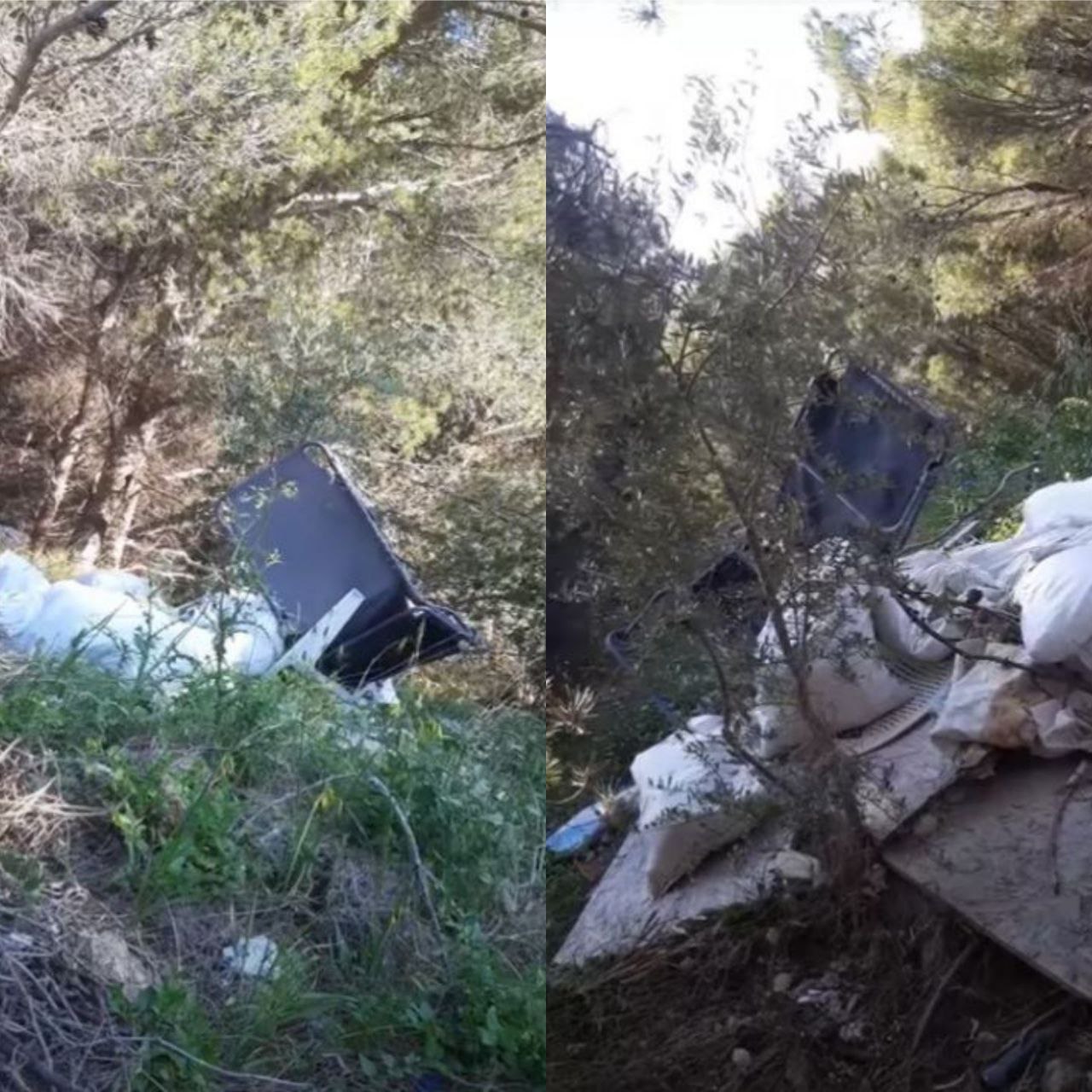 photo6012500279762729049