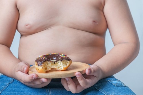 donut in hand obese fat boy, junk food can cause obesity.
