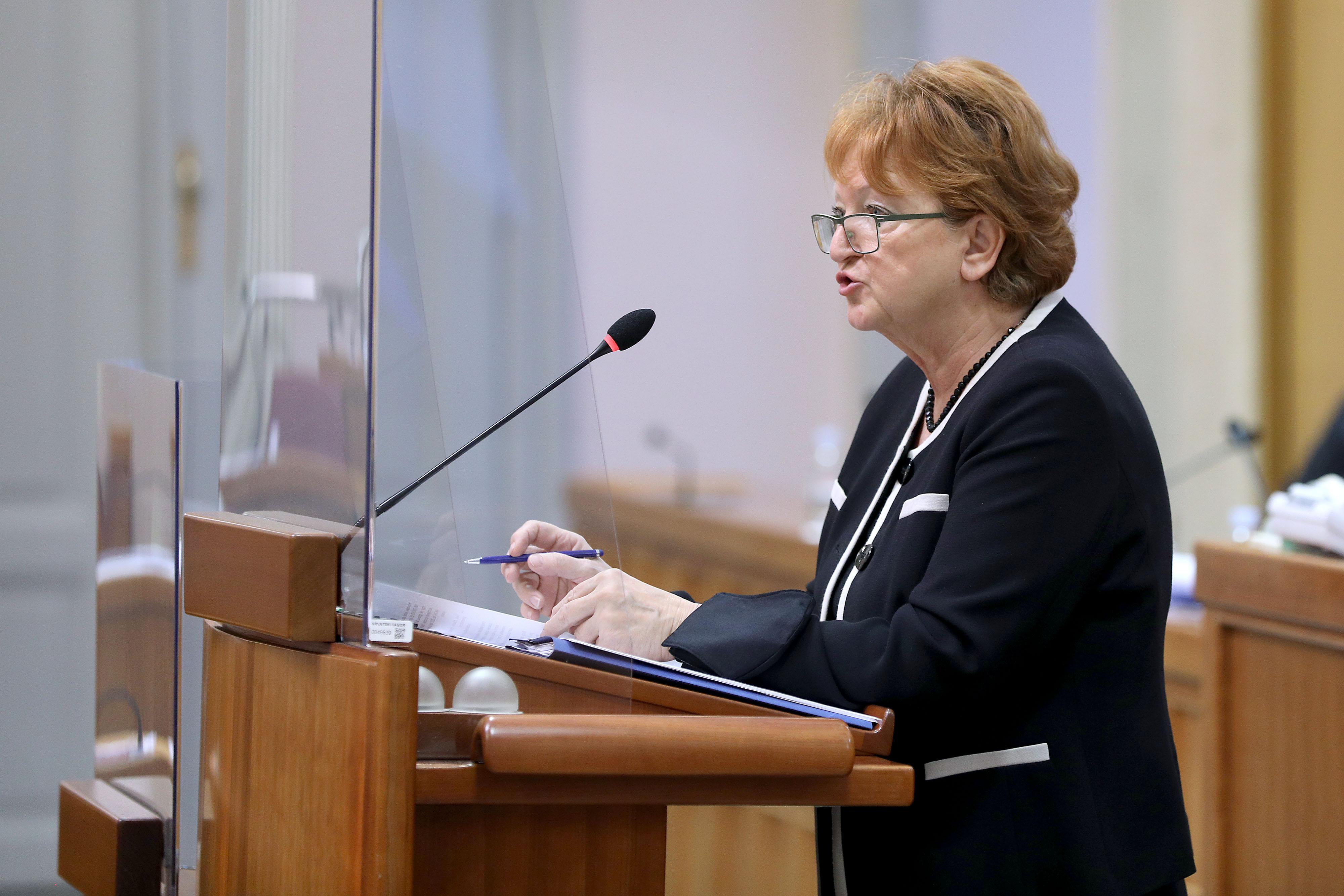 Hrvoj Šipek: Nitko iz izvršne vlasti ili HDZ-a nije na mene vršio pritisak