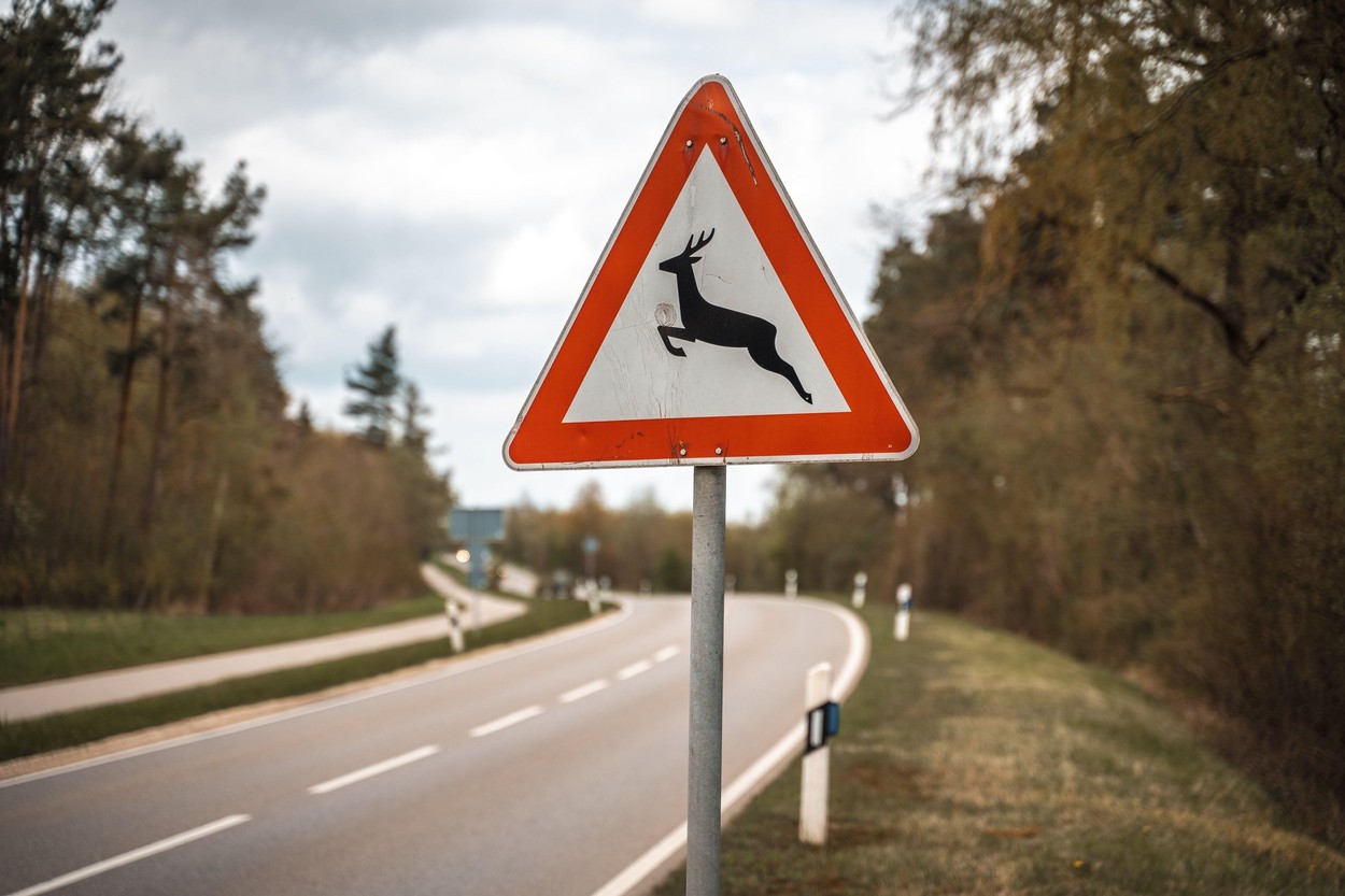 Traffic Sign - Caution Game Crossing At A Road In The Forest, Accident Danger By Deer Or Other Wild Animals