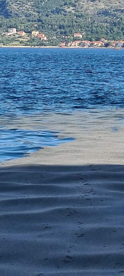 WhatsApp Image 2022-05-11 at 08.15.25 (1)