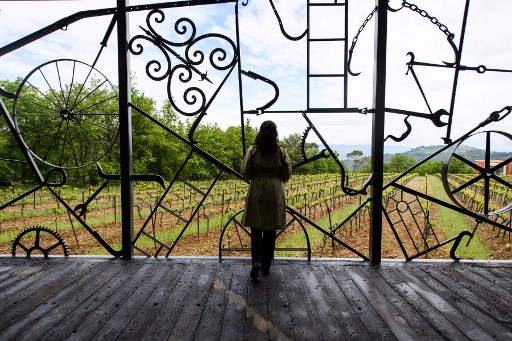 bob dylan, vinograd, jug francuske, francuska