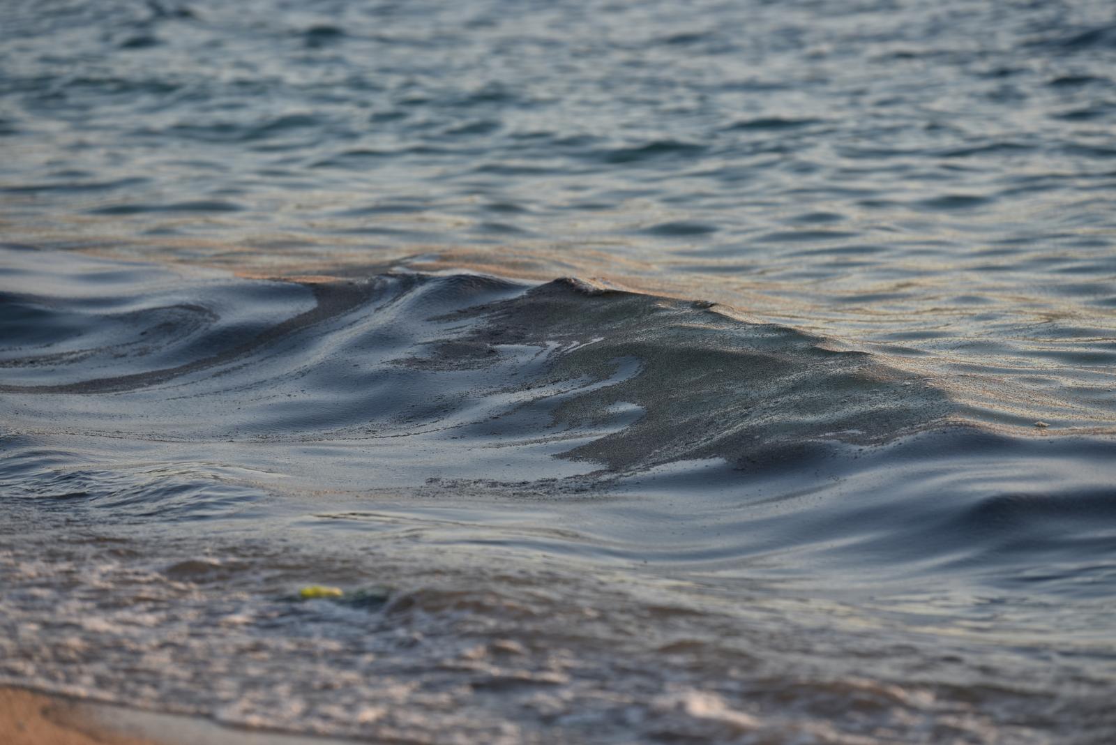 Mušice preplavile more na plaži Donja Luka u Makarskoj