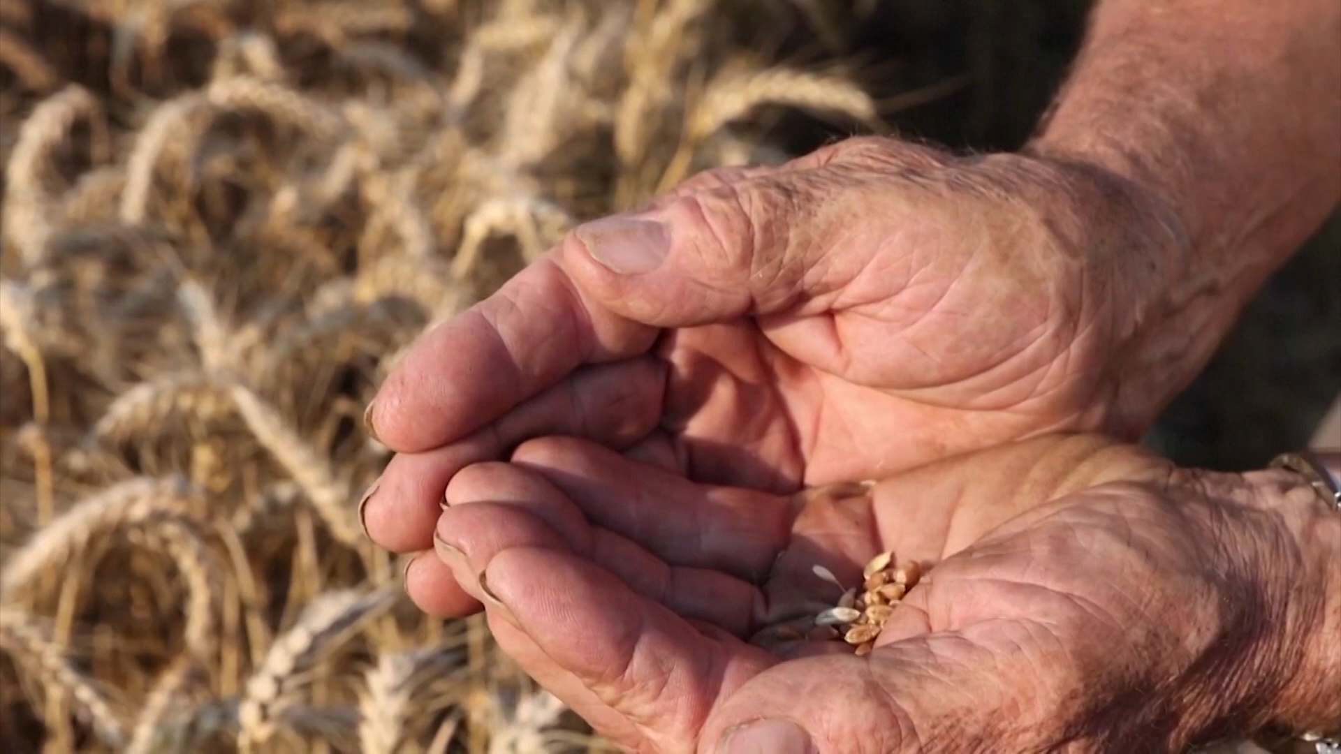 ZG-NESTASICA HRANE-PKG-18-STO-1(20220516-171021631).mxf.61_11.Still001